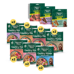Big Flavour Wet Food Bundle for Medium to Large Dogs